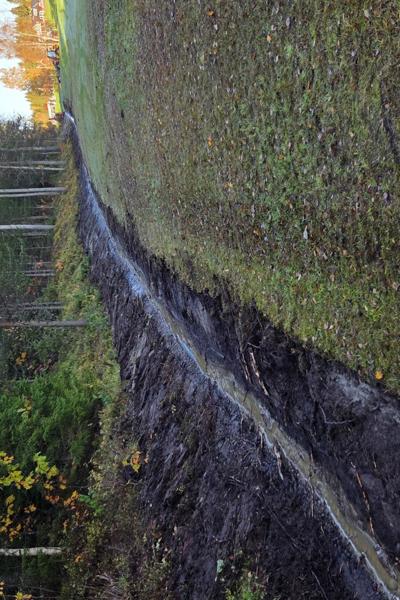 Dike Röd 1 samt väg för golfbil