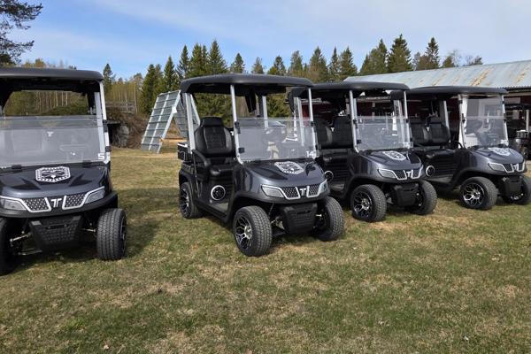 Golfbilsförbud tillsvidare