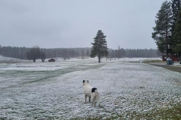 Sista snön?