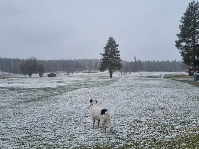 Förhoppningsvis sista snön