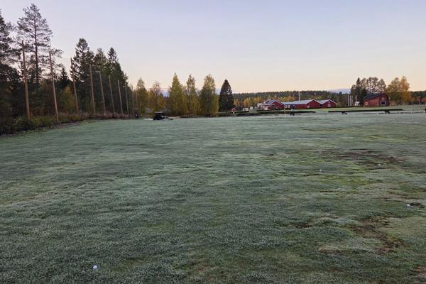 Frost