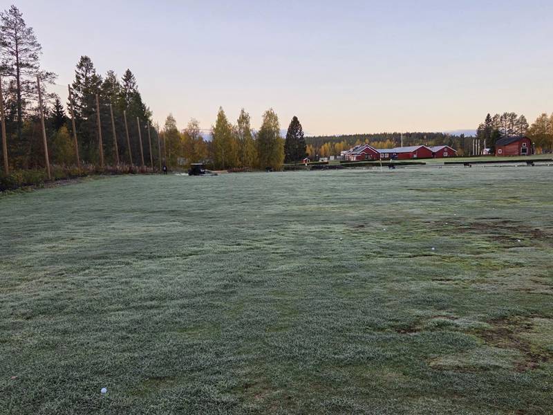 Frost (1)