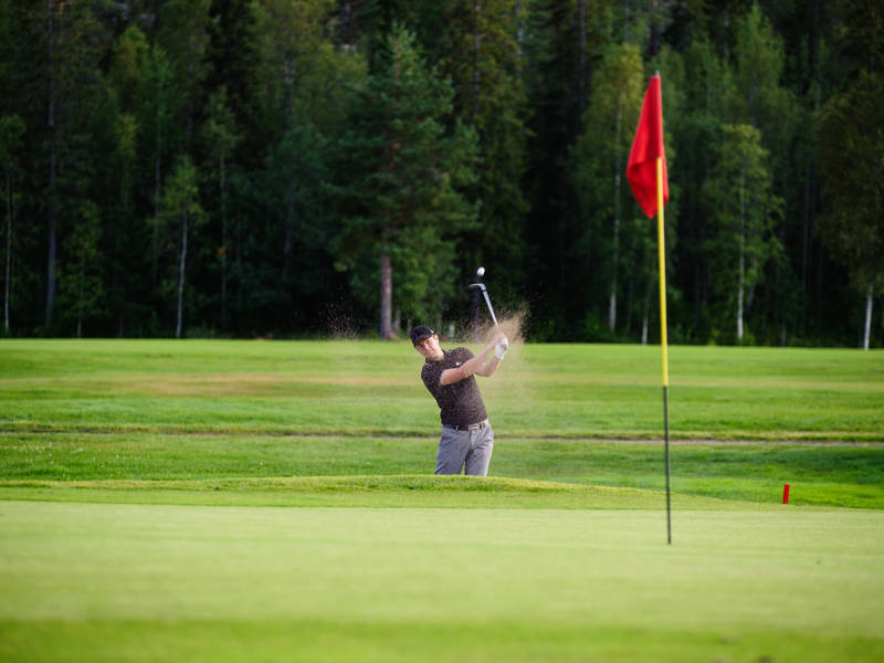 Kurser för grönt kort